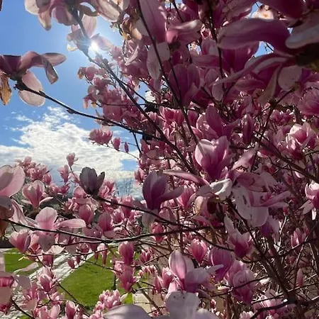 Del Glis Glis 別荘