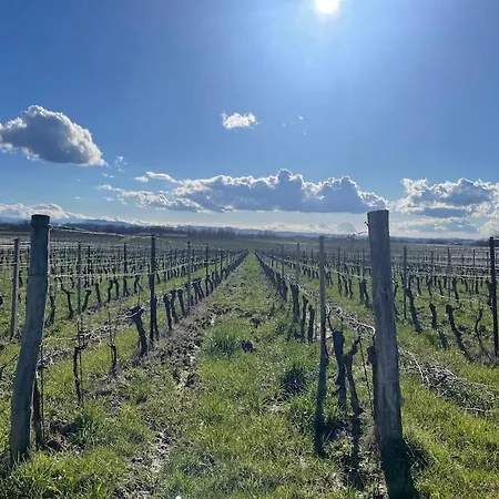 Nyaraló Del Glis Glis Castelletto d'Orba