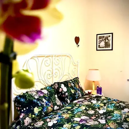 Del Glis Glis Castelletto d'Orba