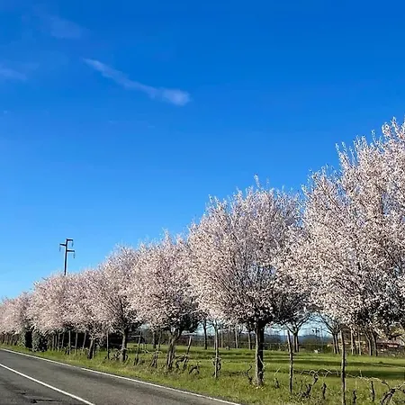 Nyaraló Del Glis Glis