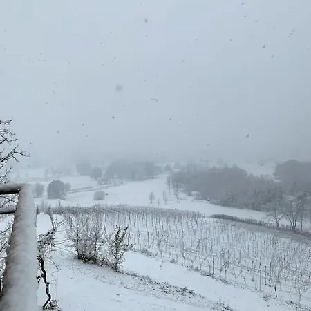 Del Glis Glis 別荘