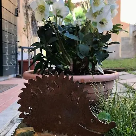 Del Glis Glis 別荘 Castelletto d'Orba