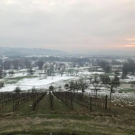 Del Glis Glis 別荘