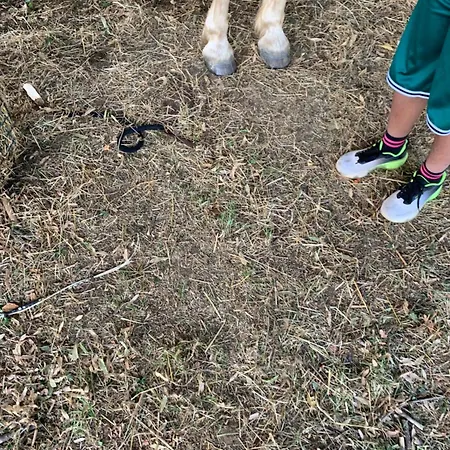 Del Glis Glis Castelletto d'Orba