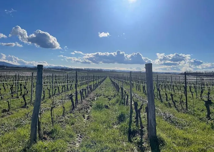 Сasa de vacaciones Del Glis Glis Castelletto d'Orba