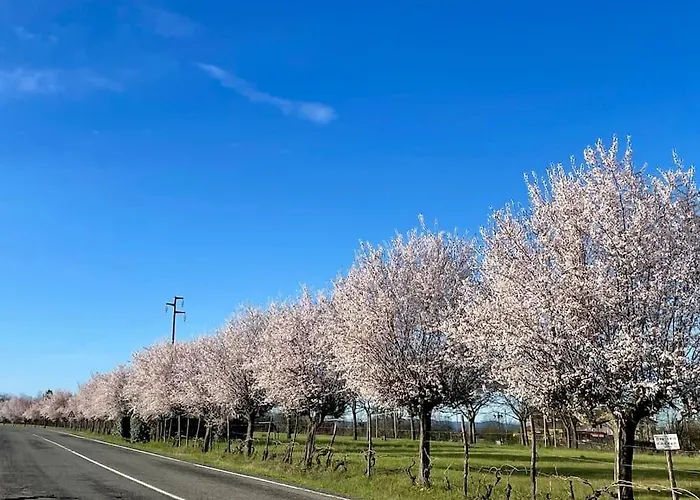 Сasa de vacaciones Del Glis Glis