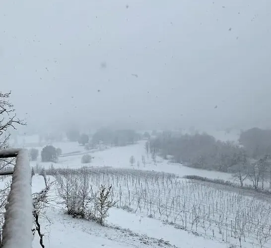 Del Glis Glis Сasa de vacaciones