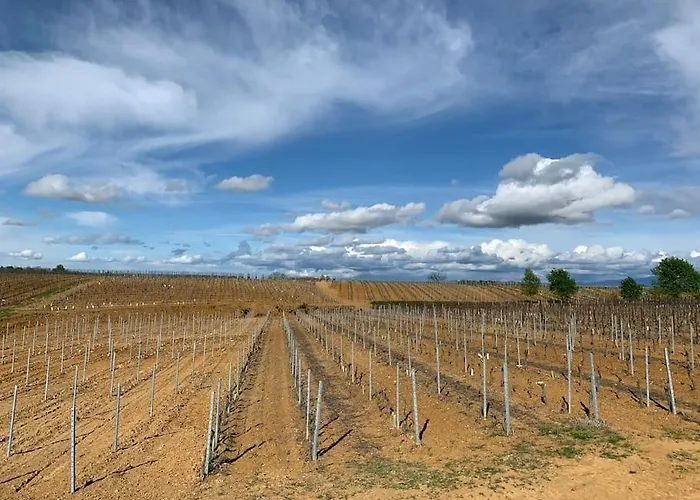 Del Glis Glis Castelletto d'Orba