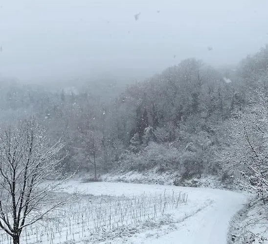 Del Glis Glis * Castelletto d'Orba